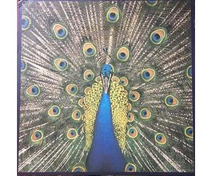 Bluetones, the - Expecting to Fly [Import]
