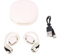 Bluetooth 5.4 Traduction Ecouteurs antibruit Crochets d'oreille Portable sans fil AI -Traducteur -Ecouteurs pour les affaires de voyage