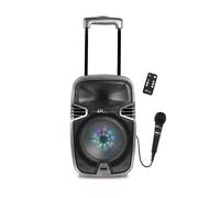 Bluetooth karaoke avec roulettes, lumières et micro