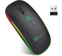 Bluetooth Souris Sans Fil, 2.4G Rechargeable Souris Silencieuse, Deux Modes(Bt 5.1+2.4G Usb-Nano), Dpi 800/1200/1600 Réglable Compatible Avec Windows7/8/10/Xp, Mac Ios(Noir)