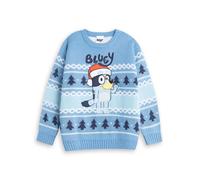 Bluey Bleu Character Pull de Noël Garçon