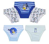 BlueY Lot 5 Slips Garçon, Caleçon Enfant Confortable et Respirant - Cadeau Enfant (5-6 Ans, Bleu)