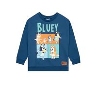 Bluey Pull | Sweat-shirt pour garçons | Heeler Family Boys Crew Neck Jumper | Âge 18 mois à 8 ans, bleu, 2-3 ans