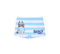 BlueY Short de Bain pour Garçon, Maillot de Bain Motif Bingo pour Enfants, Tailles 3 à 6 Ans (FR/ES, Âge, 6 Ans, Taille Normale, Multicolore)
