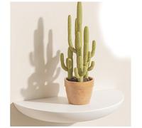 BLUEZY Étagère Murale en Bois Flottant Etagere en Bois Rustique avec Extrémité Arrondie Tablette Murale Etagere Flottante Murale Étagères De Présentation pour Salon Chambre À Coucher C,28cm