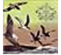 Bluffers guide to the flight deck