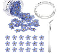 Blulu Fleurs Séchées Naturelles Ne M'oublie Pas Véritable Fleur Séchée Pas avec Pince à Épiler à Coude en Argent Petites Fleurs Pressées Séchées Ne M'oublie pour Bijoux BougieOngles DIY