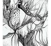 Blumen Des Exotischen Eis - Karawane des Mystiks [Import]