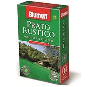 BLUMEN Gazon rustique 1kg