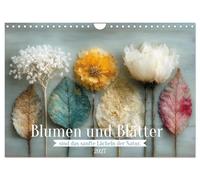 Blumen und Blätter sind das sanfte Lächeln der Natur. (Wandkalender 2027 DIN A4 quer), CALVENDO Monatskalender: Getrocknete Blüten und Blätter