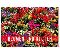 Blumen und Blüten (Wandkalender 2026 DIN A3 quer), CALVENDO Monatskalender: Eine bunter Strauß schöner Blumen