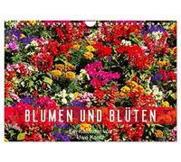 Blumen und Blüten (Wandkalender 2026 DIN A4 quer), CALVENDO Monatskalender: Eine bunter Strauß schöner Blumen