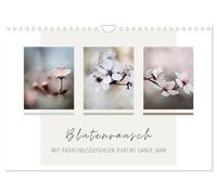 Blumenrausch - Avec sentiments de printemps tout au long de l'année (calendrier mural 2026 DIN A4 paysage), calendrier mensuel CALVENDO