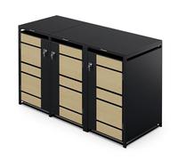 Blumfeldt Cache Poubelle extérieur - Acier galvanisé résistant, pour 60 L/120 L/240 L, Fermeture à clé, Design Moderne, Contient 3 bacs, abri pour Poubelle, érable & Noir