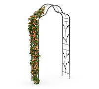 Blumfeldt FloraBelle Cupola Arche à rosier