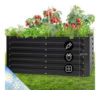 blumfeldt Jardiniere sur Pieds, Espace Potager Jardinage Extérieur, Surélevé en Hauteur, pour Balcon, Bac Potager en Acier, 432L, 1,2 m