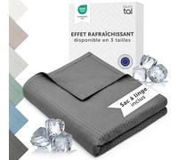 Blumtal Couverture rafraichissante 120x100 cm - Plaid certifiée Oeko-TEX en Fibre de Bambou - Couette ete Auto-rafraîchissante - Couette canapé Respirante - Couverture de qualité Premium - Anthracite