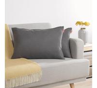 Blumtal Housse de Coussin 40x60 cm canape - Lot de 2 - Housse Coussin 40x60 cm en Chenille Douce avec Fermeture éclaire cachée - Protection décorative certifiée Oeko-Tex - Lavage Facile - Anthracite