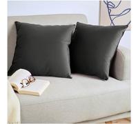 Blumtal Housse de Coussin canape - Lot de 2 - Housse Coussin 30x50 - Housses de Coussins décoratifs Velours - Housse de Coussin 30x50 - Housses de Coussins canapé certifiées Oeko-Tex - en Anthracite