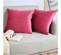 Blumtal Housse de Coussin canape - Lot de 2 - Housse Coussin 30x50 - Housses de Coussins décoratifs Velours - Housse de Coussin 30x50 - Housses de Coussins canapé certifiées Oeko-Tex - en Framboise