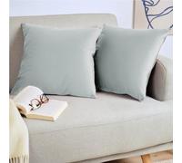 Blumtal Housse de Coussin canape - Lot de 2 - Housse Coussin 40x40 - Housses de Coussins décoratifs Velours - Housse de Coussin 40x40 - Housses Coussins canapé certifiées Oeko-Tex - Gris Clair