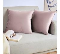 Blumtal Housse de Coussin canape - Lot de 2 - Housse Coussin 45x45 - Housses de Coussins décoratifs Velours - Housse de Coussin 45x45 - Housses de Coussins canapé certifiées Oeko-Tex - en sureau