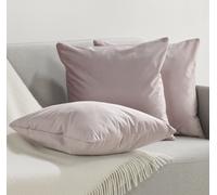 Blumtal Lot de 2 taies d'oreiller 40x40 cm velours - taie d'oreiller noble en velours, housse de coussin douce Velvet, Elderberry - Violet