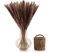 Blumtal Plante Artificielle Interieur - 30 Fleurs séchées - Bouquet Fleurs séchées - Decoration Pampa - Pampas sechees Decoration - Deco Maison - Plante Pampa 100% Naturelle - Nature
