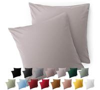 Blumtal Taie Oreiller 40x40 Lot de 2 - Housse de Coussin Microfibre - Taies d'oreillers avec Fermeture éclair, certifiée Oeko-Tex, Extra Douce et Lavable - Gris Clair de Lune