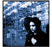 Blunderbuss E