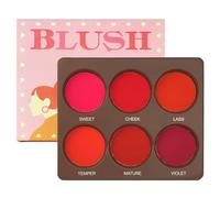 Blush à maquillage du visage, palette de 6 couleurs, design mat imperméable pour la photographie de voyage, finition pigmentée longue durée, étui compact élégant, nécessaire au pour une