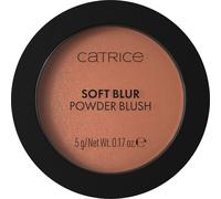 Catrice Soft Blur Powder Brush blush poudre effet mat teinte 050 Born to blonze 5 g