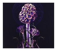Blut Aus Nord : Hallucinogen