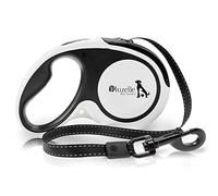 BLUZELLE Laisse à Enrouleur de 5m avec Bandes Réfléchissantes, pour Moyens & Grands Chiens jusqu'à 50kg, Laisse Rétractable avec Mousqueton 360°, Système de Freinage Fiable, Ceinture Nylon, Taille:L