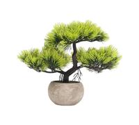 BLWOTMOR Arbre Bonsaï pour La Décoration Intérieure et Les Centres de Table, Vert Clair