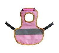 BLWOTMOR Chicken Selle Gilet Plumes Protection Polyester Respirant Facile à Mettre pour Volaille Poules Canards Usage, Rose Rouge, Taille Commune