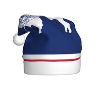 BLWSLC Chapeau de Noël imprimé drapeau de l'État du Wyoming pour adulte - Chapeau de Noël festif adapté pour les vacances du Nouvel An et les fêtes en plein air