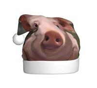 BLWSLC Chapeaux de Noël mignons à motif de cochon pour adultes, chapeaux décoratifs, adaptés pour le réveillon du Nouvel An, les fêtes de vacances ou Noël