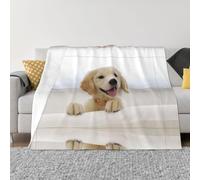 BLWSLC Couverture polaire imprimée Golden Retriever Puppies, jeté de canapé décoratif, disponible en 4 tailles pour réchauffer la maison.