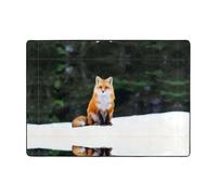 BLWSLC Tapis d'intérieur amusant à motif renard, adapté pour le foyer, la salle de bain, le salon et la chambre à coucher.