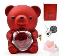 BlyeMichdi Ours Rose Eternelle avec Bijoux Cachée, Coffret Cadeau Ours Rose Éternelle avec Collier, Nounours Ours en Rose Idee Cadeau, Ours en Roses pour Femme Mère Maman Amie, Cadeau Fete des Meres