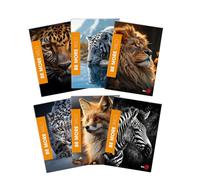 BM BeMore WILD Maxi cahiers au format A4 - Rigatura Q, carreaux 5 mm avec marges pour élémentaires, moyennes et supérieures - Lot de 10 pièces avec couvertures fantaisie animaux - 72 pages, papier de