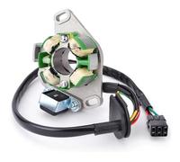 BMDBD Bobine De Stator De Moto pour S&uzuki RM250 2001-2006 2002 2003 2004 2005 RM 250 RM250Z 2006 32101-37F00 32101-37F10 Aimant D'allumage