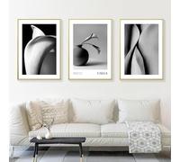 BMGKYAGL Calla Plante Fleur Nature Morte Noir Blanc Impressions Affiches Peinture Murale Art Toile Photos Nordique Moderne Salon Décor 70x100cmx3 cadre