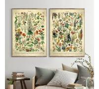 BMGKYAGL Fleurs - Affiches et impressions vintage - Art mural botanique rétro - Peinture sur toile - Tableaux pour la décoration du salon (60x90cmx2/cadre intérieur)