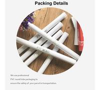 BMGKYAGL Tableau sur toile, affiche et impression représentant une fille aux toilettes, image moderne et sexydécor pour maison, le bar ou la chambre (40 x 60 cm, sans cadre)