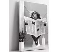 BMGKYAGL Tableau sur toile Biufo Monkey sur les toilettes, affiche amusante avec un singe sur les toilettes, décoration murale animalière pour chambre ou salle de bain (50x70cm/cadre intérieur)