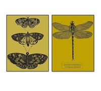 BMGKYAGL Tableau sur toile imprimé représentant une libellule et un papillon rétro, décoration murale, poster décoratif rétro naturel (20x30cmx2/sans cadre)