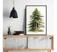 BMGKYAGL Toile moderne représentant un séquoia de la côte des pins, un arbre naturel, un salon, une chambre à coucher, une décoration murale, 50 x 70 cm, sans cadre
