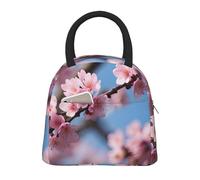 bmnaswt Beau sac à déjeuner isotherme avec poche avant, boîte à déjeuner isotherme avec fermeture éclair